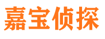 金台市侦探公司